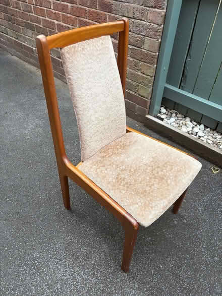 Photo of free 6 dining chairs. Solid wood / padded (Wilmslow SK9) #1