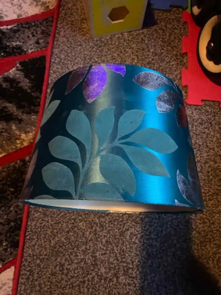 Photo of free Lamp shade (Hammersmith) #2