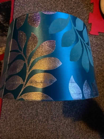 Photo of free Lamp shade (Hammersmith) #1