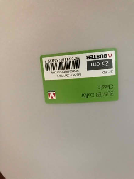 Photo of free Buster collar for a dog (Westfield NR19) #2