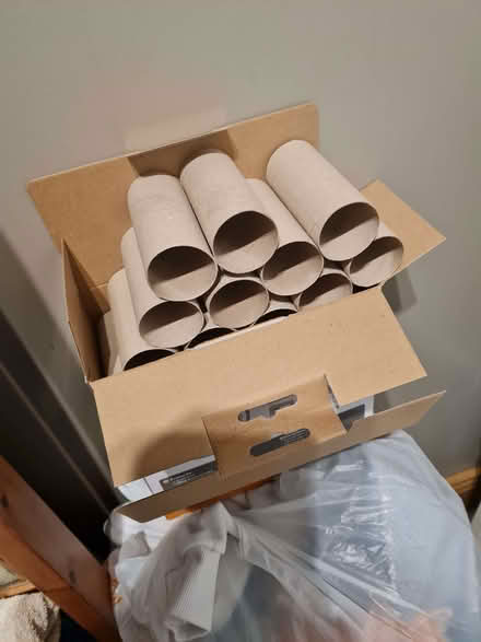 Photo of free Loo roll tubes (Lostock Hall PR5) #1