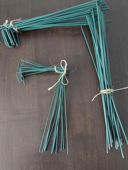 Photo of free metal link plant support stakes (Linslade LU7) #1