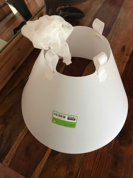 Photo of free Buster collar for a dog (Westfield NR19) #1