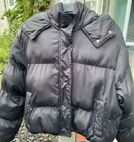 Photo of free Women's Short Puffer Jacket/ Coat with Hood-Black/Size 14 (Surbiton KT6) #1