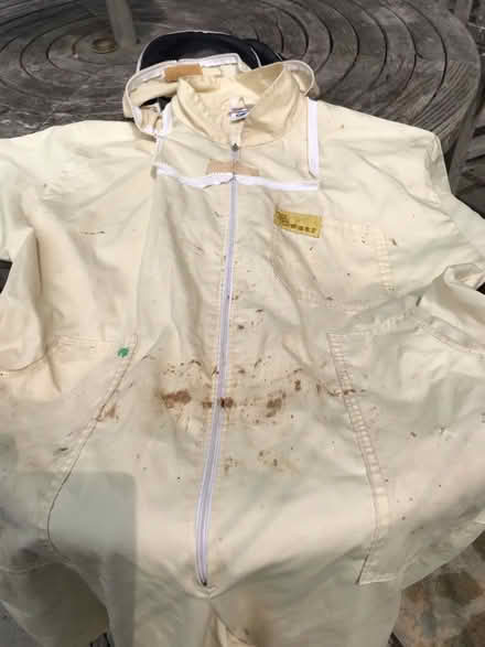 Photo of free Bee suits x2 (Kenilworth CV8) #3