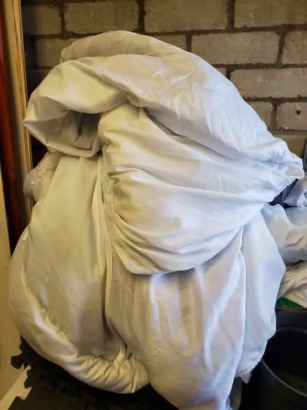 Photo of free Used king bedding (Kendal LA9) #2