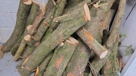 Photo of free Wood (Ewenny CF35) #2