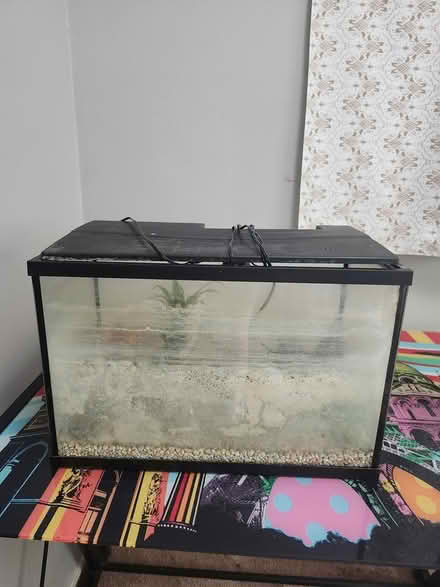 Photo of free Aquarium (Glen cairn) #1