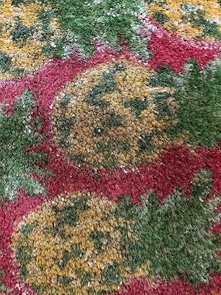 Photo of free pineapple door mat (Adams Morgan (20009)) #2