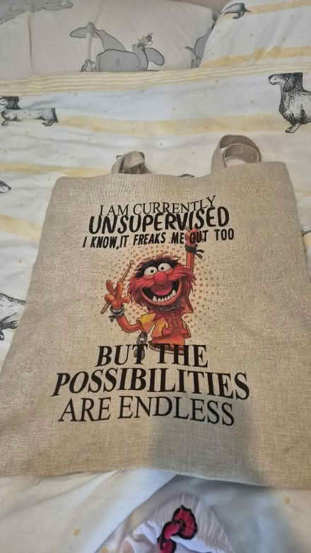 Photo of free Muppets tote bag (Bellingham SE6) #1
