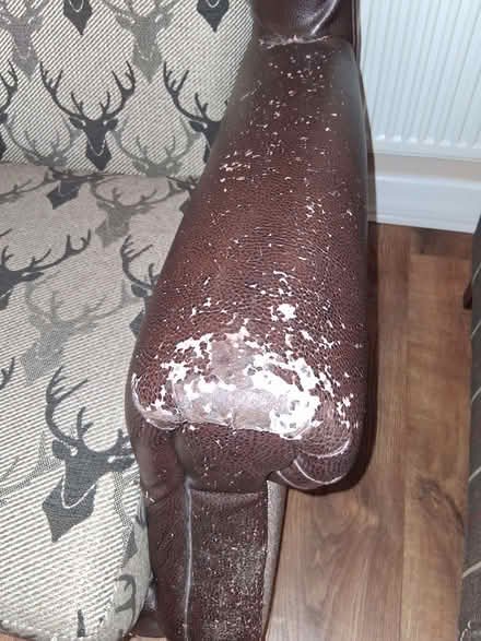 Photo of free High backed chair - upcycle project (Hoddesdon EN11) #3