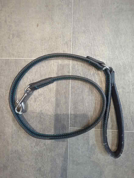 Photo of free Dog lead (Haxby York YO323) #1