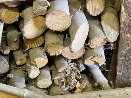 Photo of free Cut logs for fire (New Barnet EN4) #1