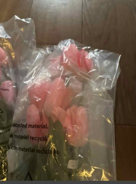 Photo of free Tall faux pottery barn tulip stems (Lafayette) #1
