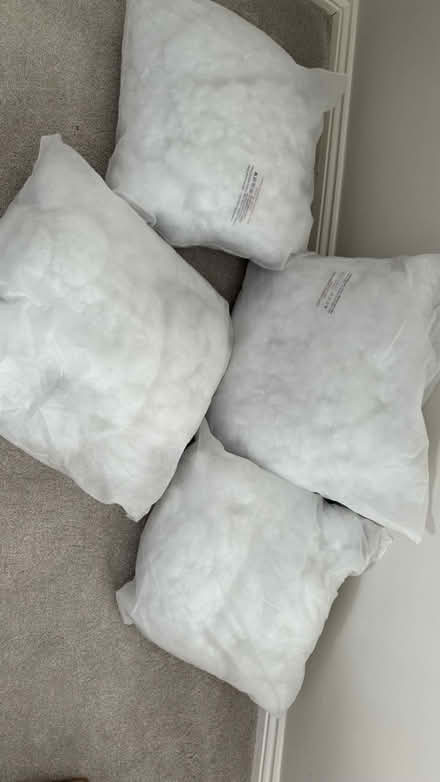 Photo of free 4 cushion inserts (MK45) #1