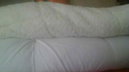Photo of free Excess Bedding (BA2) #1
