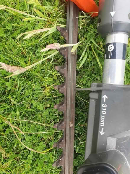 Photo of free extendable hedgecutter (Stocksbridge S36) #1