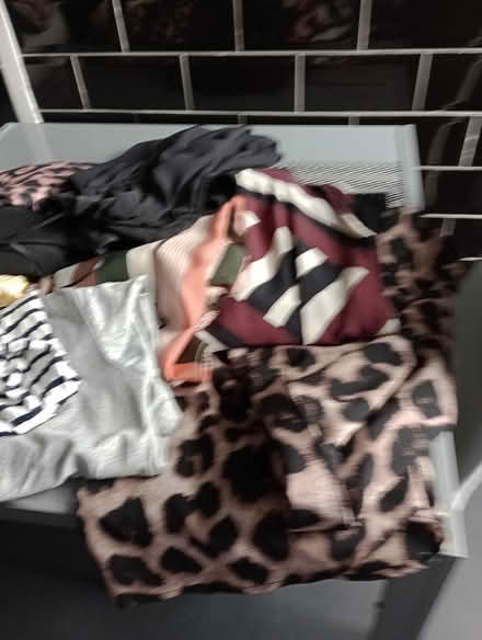 Photo of free Ladies tops (Knowsley) #4