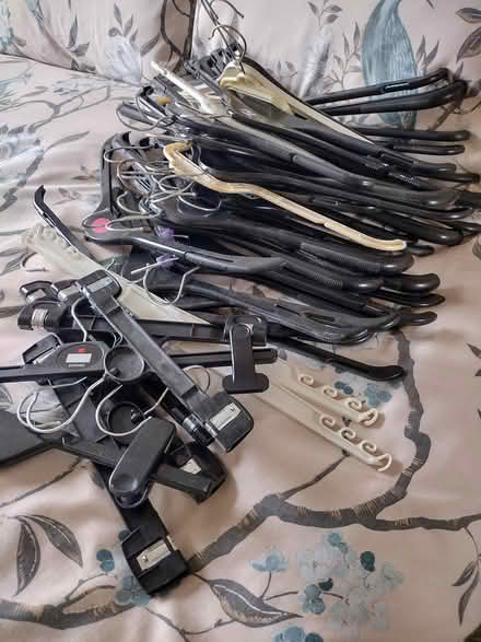Photo of free Clothes hangers (forestside BT8) #1
