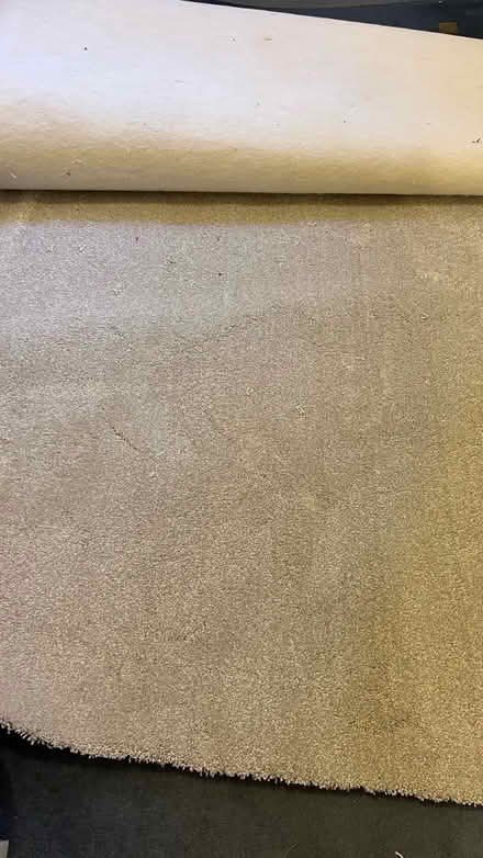 Photo of free Light grey soft carpet (CV34 Warwick gates) #1
