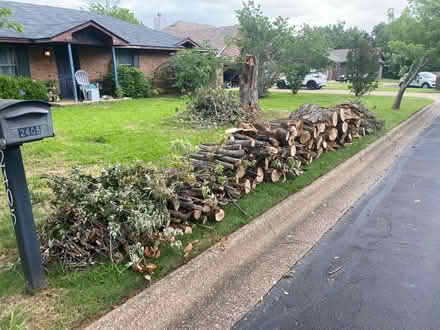 Photo of free Maple tree firewood (Corinth) #1