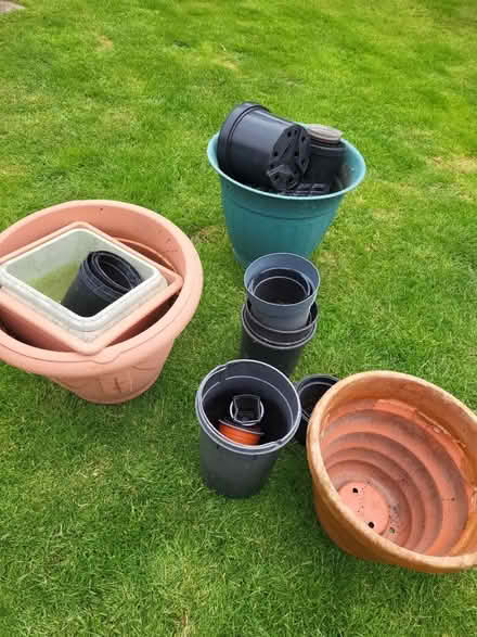 Photo of free plant pots (Craven Arms SY7) #4