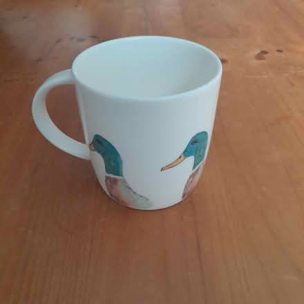 Photo of free Mallard duck mug (Tettenhall WV6) #1
