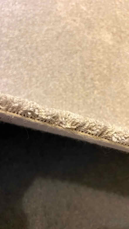 Photo of free Light grey soft carpet (CV34 Warwick gates) #2