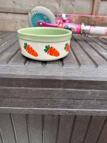 Photo of free Bunny bowl (Gloucester) #1