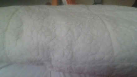 Photo of free Excess Bedding (BA2) #4