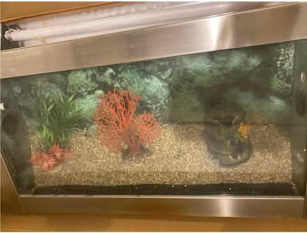 Photo of free Fish tank (Bray near Killarney Hieghts) #1