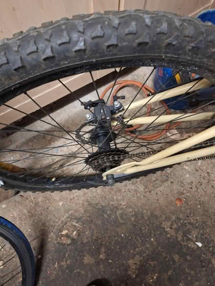 Photo of free Bicycle (South Green CM11) #4