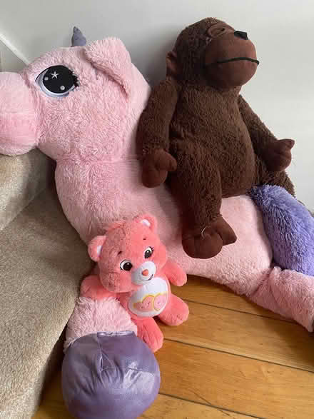Photo of free Teddy Bears (Wicklow town) #1