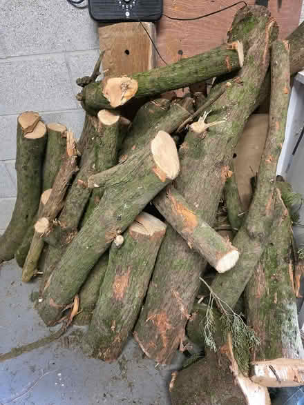 Photo of free Wood (Ewenny CF35) #1