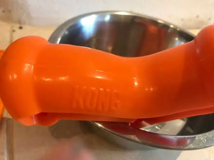 Photo of free Dog bowl, king toy, lick mat (Blagdon BS40) #2