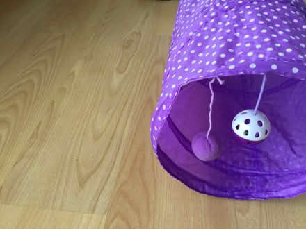 Photo of free Cat play tunnel (Eye) #1