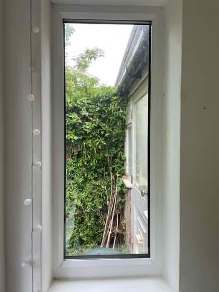 Photo of free Windows (WS13) #3