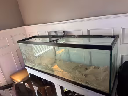 Photo of free 120 gallon tank with stand (Cortland) #1