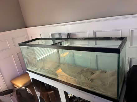 Photo of free 120 gallon tank with stand (Cortland) #1