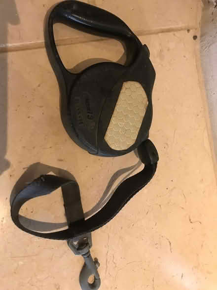 Photo of free Flexi lead (Blagdon BS40) #1