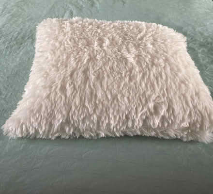 Photo of free Two clean cushions (Wallands Park BN7) #3