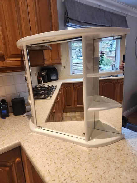 Photo of free Large bathroom cabinet (HR9 5QX) #2