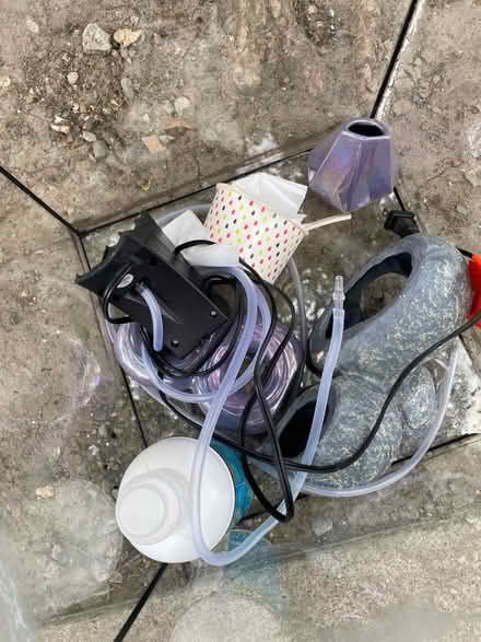 Photo of free Fish stuff (Annex) #2