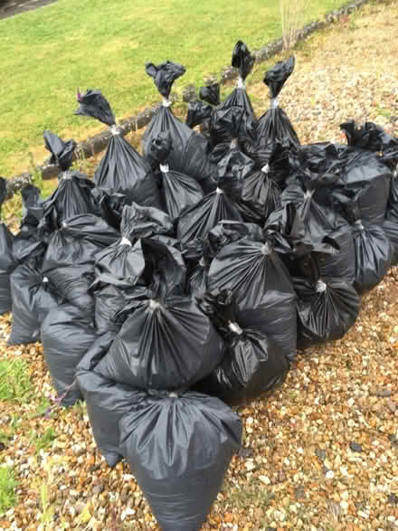 Photo of free Sand and gravel mixed (Ibstock LE67) #1