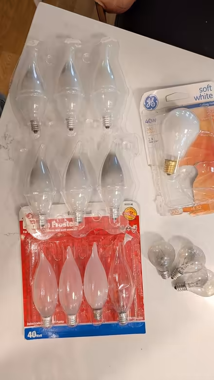 Photo of free Small-base incandescent bulbs (Roslindale) #1