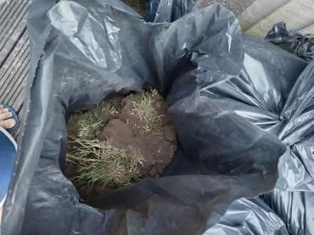 Photo of free garden soil bagged (Pilgrims Hatch CM15) #3