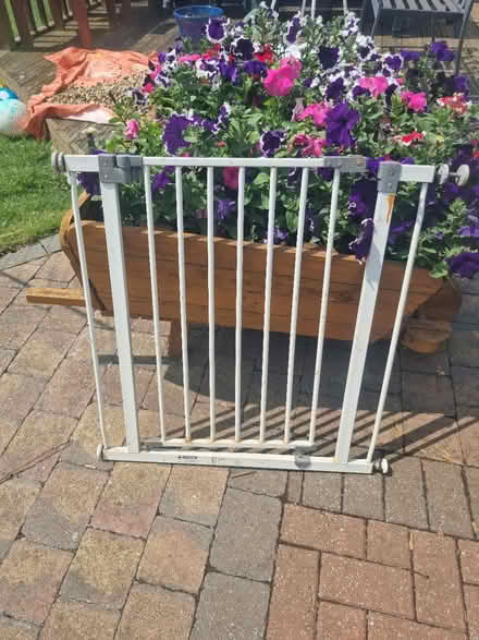 Photo of free Safety Gate (ME12) #1