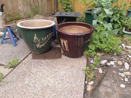 Photo of free Ceramic garden pots (Earlham NR4) #1