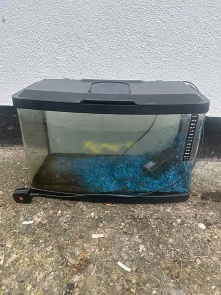 Photo of free fish tank (gobowen) #1