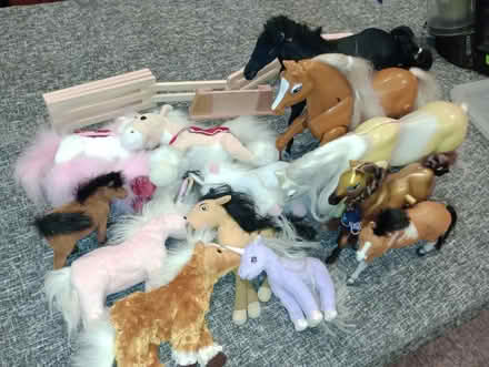 Photo of free Horses galore (Nailsea BS48) #4